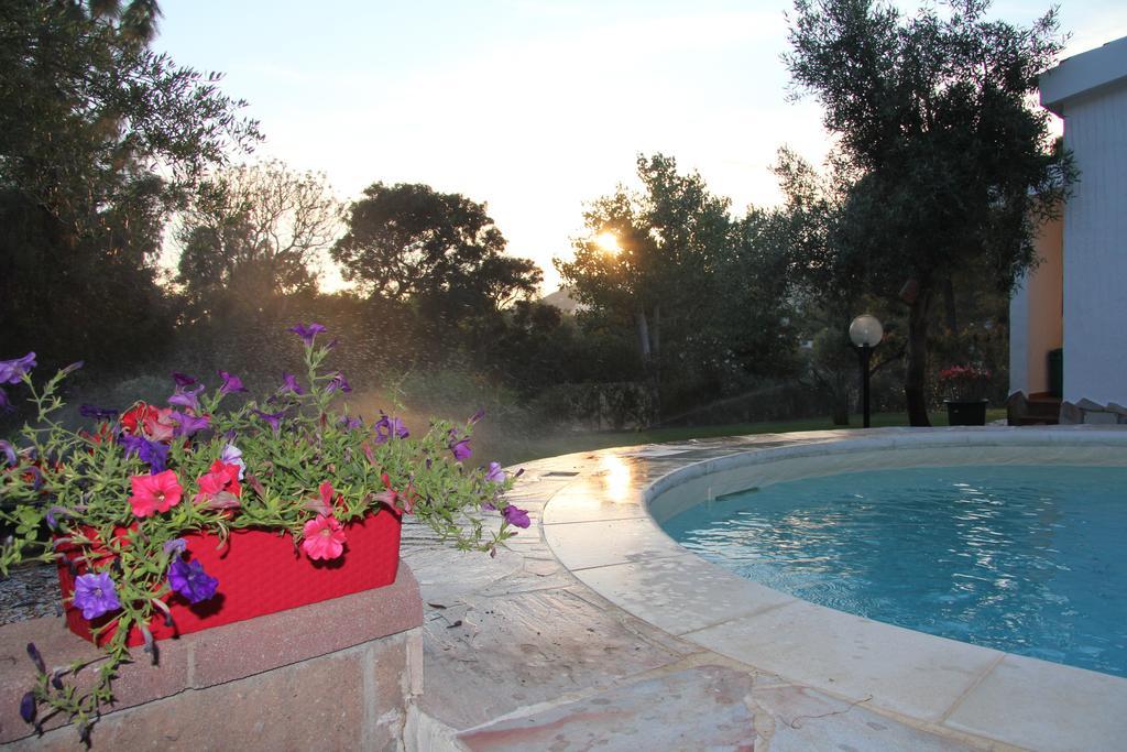 Almà Bed & Breakfast