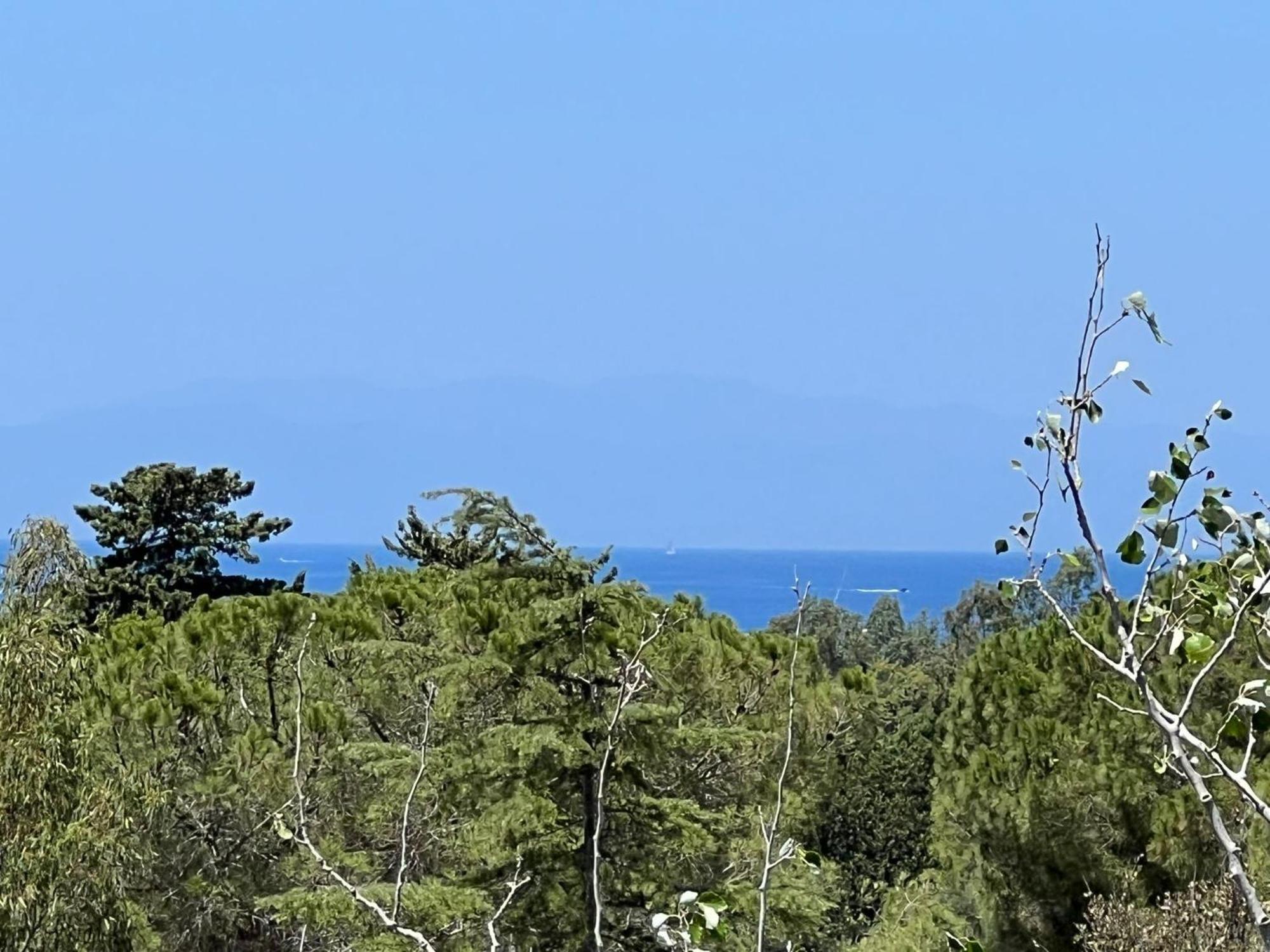 Almà Torre delle Stelle